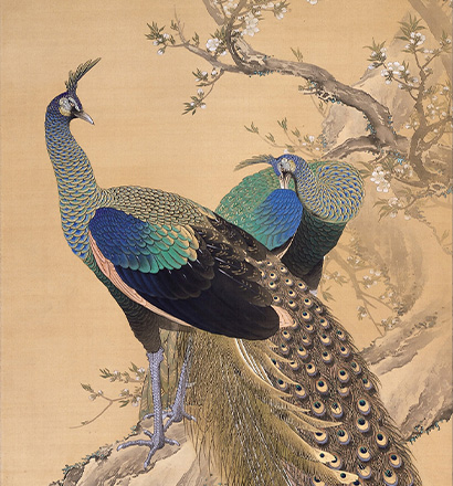 명화