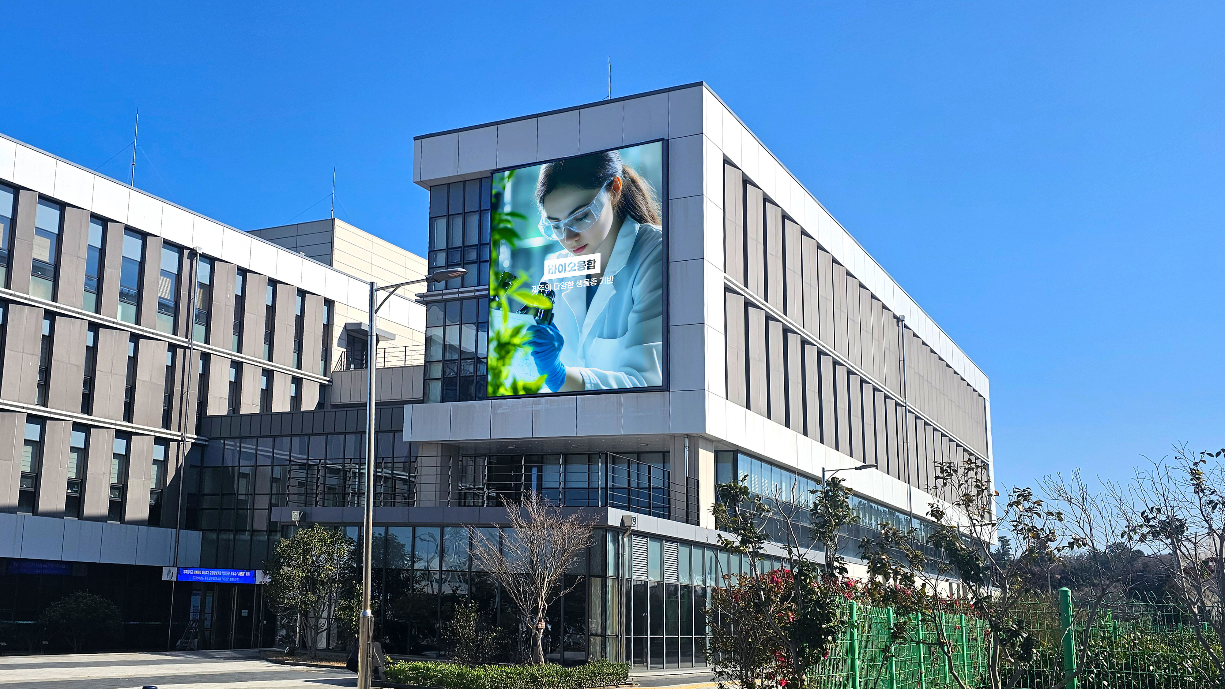 Jeju University